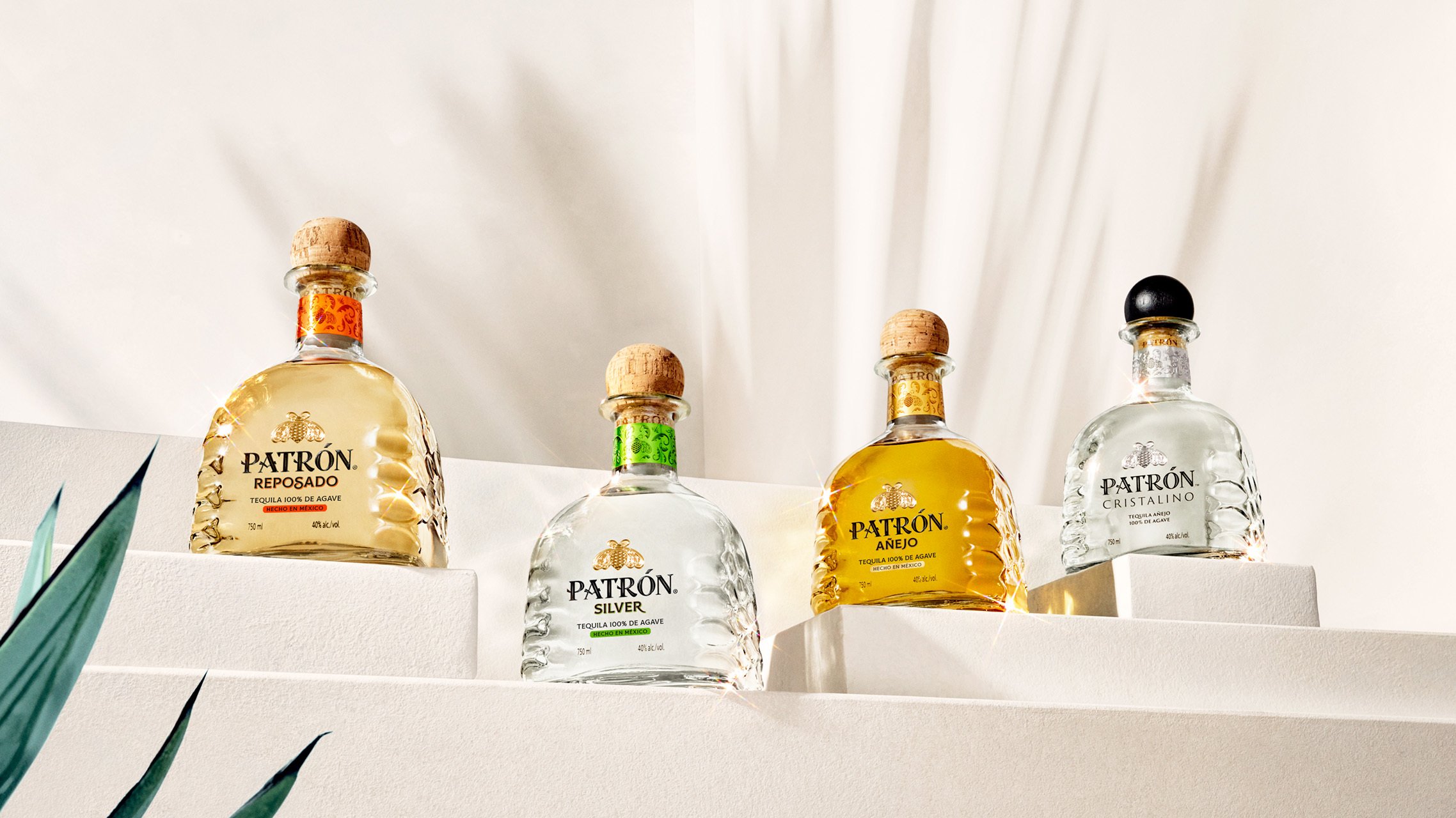 A stunning collection of Patron tequila bottles, including Reposado, Silver, A&ntilde;ejo, and Cristalino, displayed in a chic Warsaw nightclub. Perfect for those seeking premium tequila in Warsaw's vibrant nightlife.